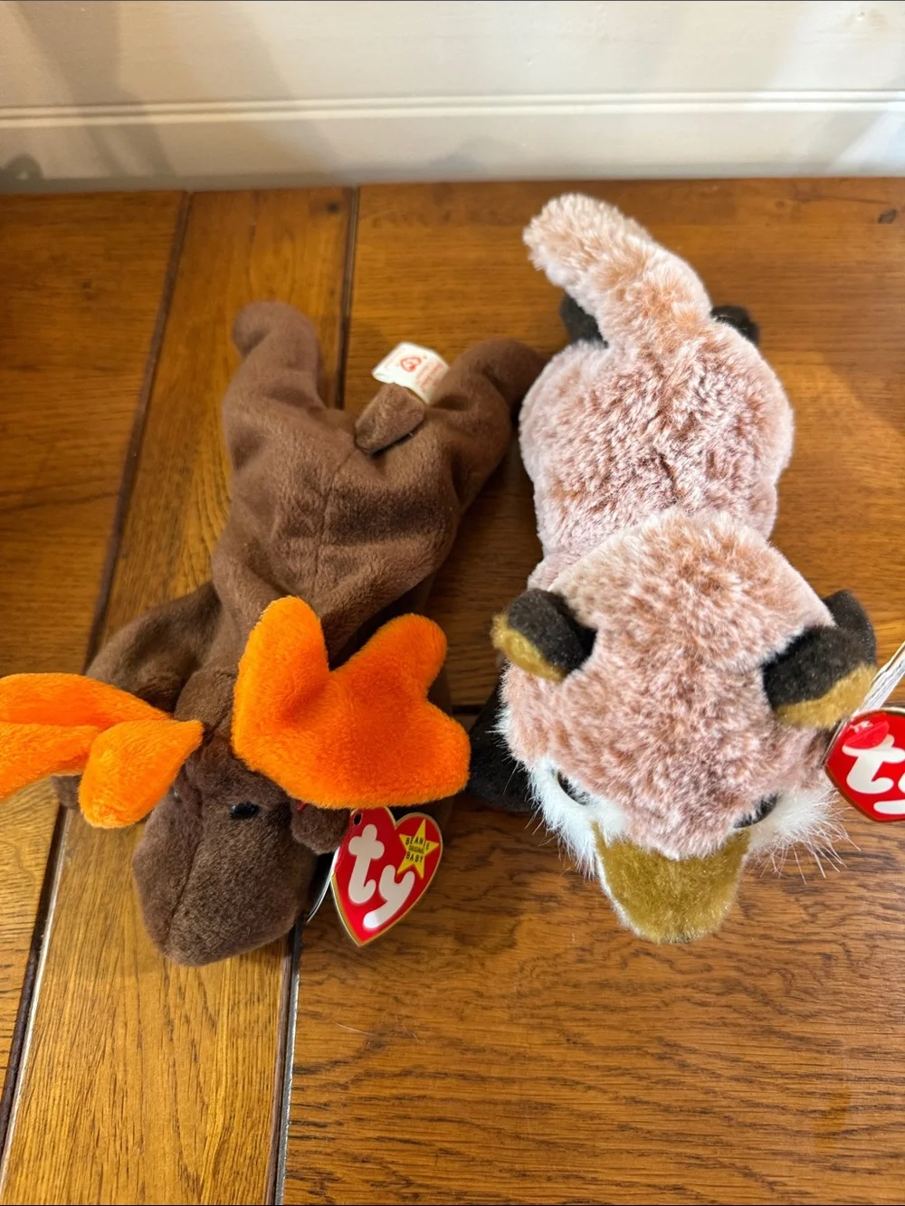 Lot of 2 BEANIE BABIES Ty Chocolate Moose Plush And Fredrick TY fox plush